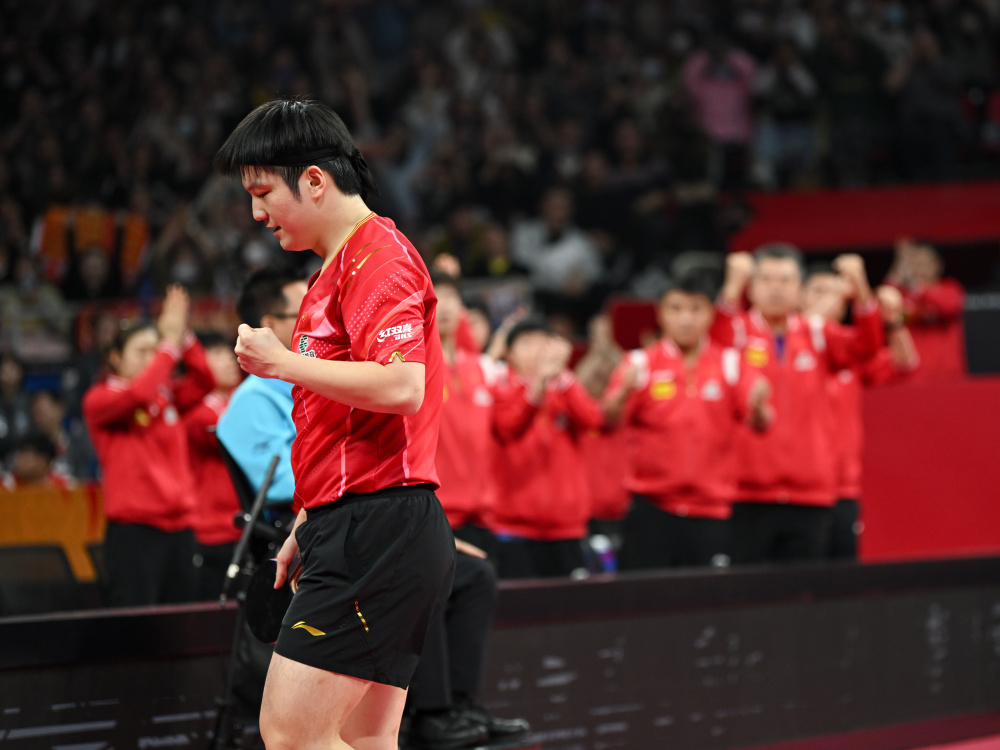 法国乒乓球队横扫瑞典乒乓球队,樊振东爆发神勇的简单介绍 法国乒乓球队横扫瑞典乒乓球队,樊振东爆发神勇的简单介绍