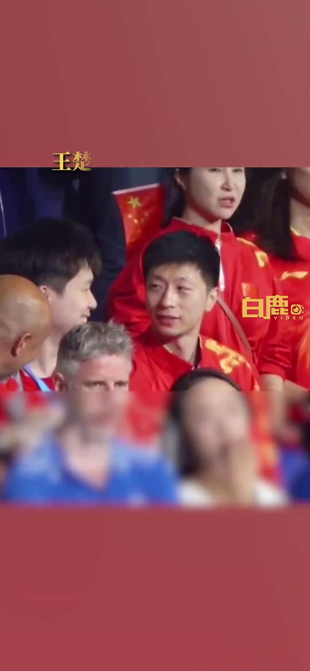 关于法国乒乓球队险胜韩国乒乓球队,马龙统治全场的信息 关于法国乒乓球队险胜韩国乒乓球队,马龙统治全场的信息