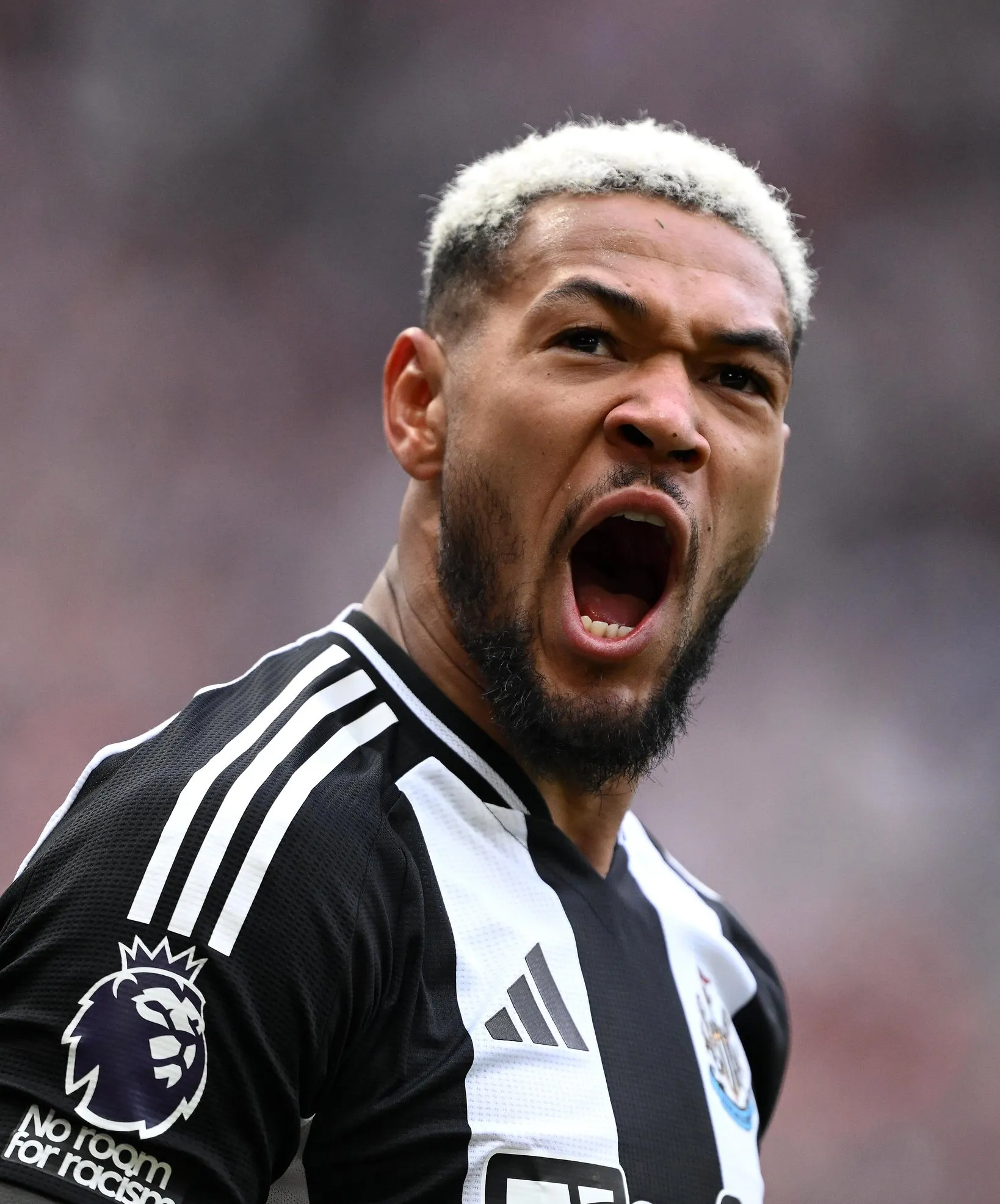 纽卡斯尔擒下对手,终结连败 纽卡斯尔擒下对手,终结连败