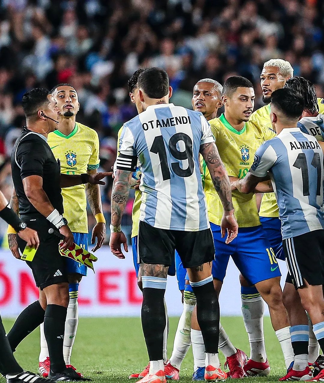 包含巴西代表团迎来亮眼表现，实力渐显的词条