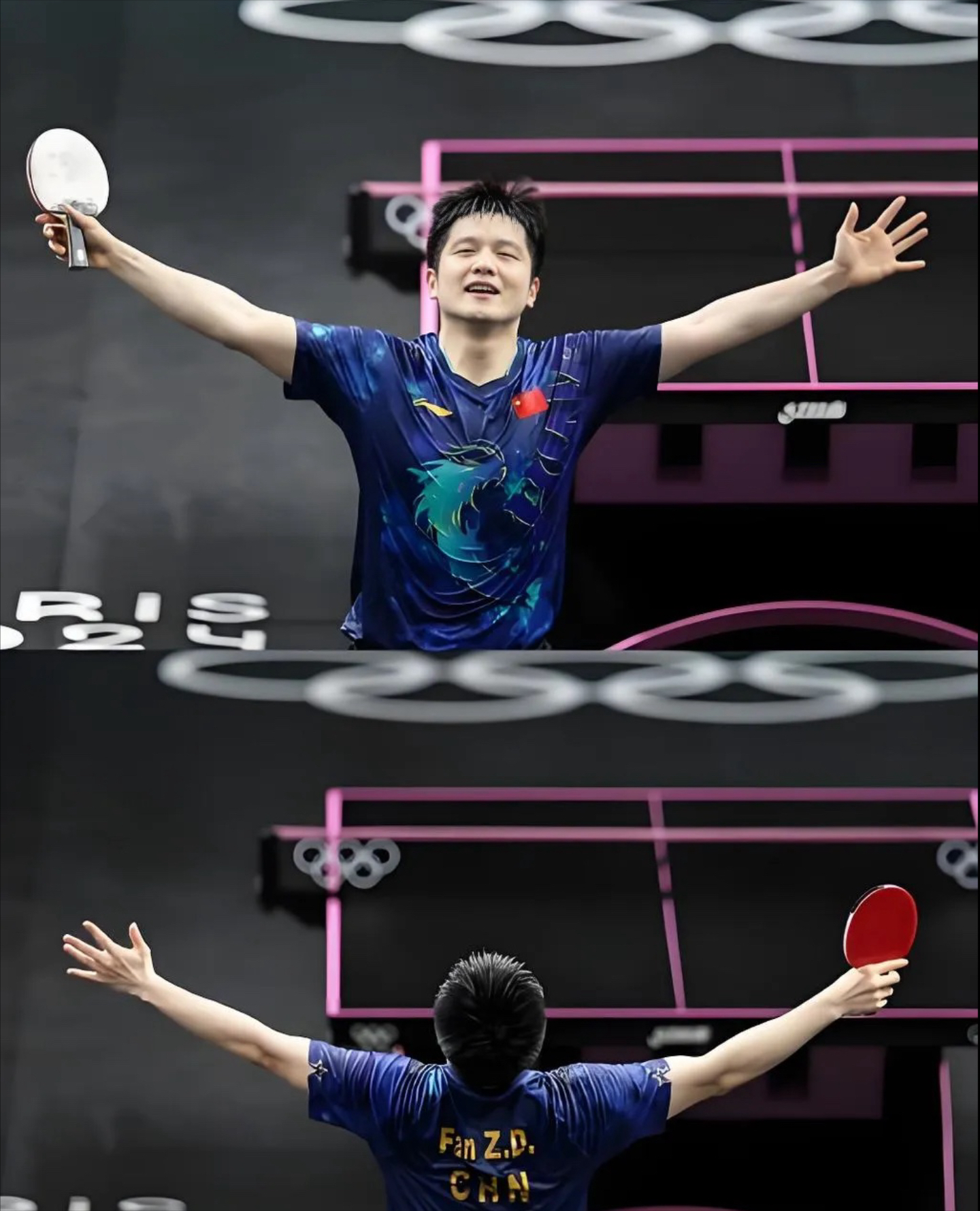 关于奥地利队轻取波兰队，樊振东高光表现的信息