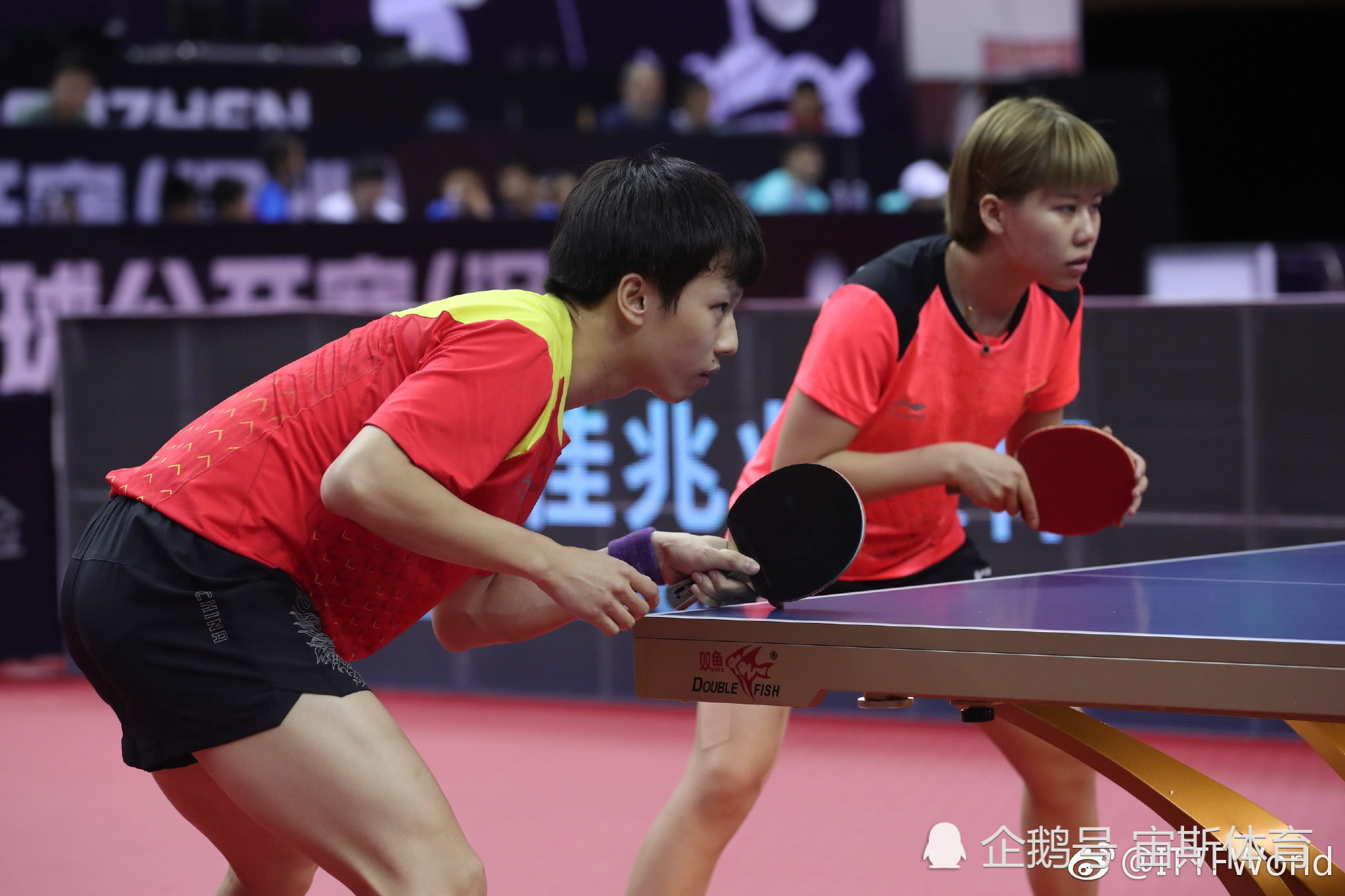 奥地利队翻盘葡萄牙队，梁靖崑高光表现